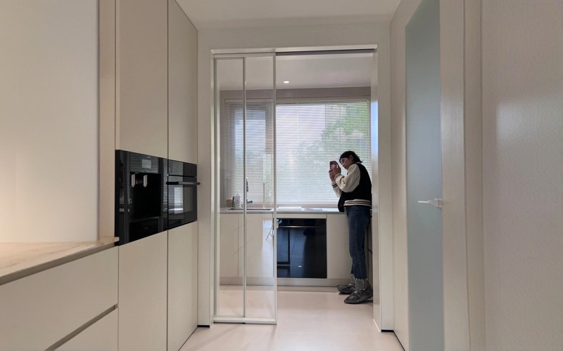 Pocket Door