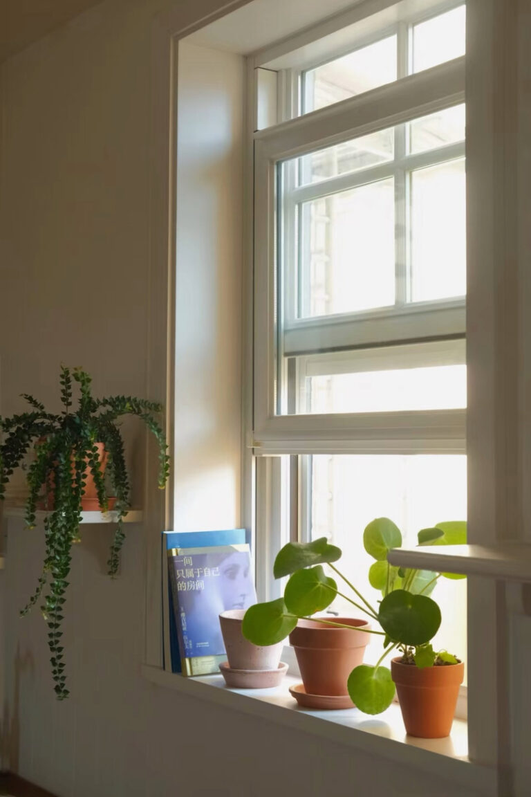 Double Hung Windows Project 1