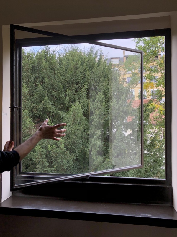 Pivoted Windows