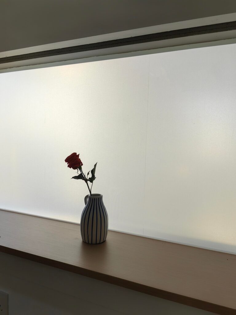 Frosted Glass Window 1