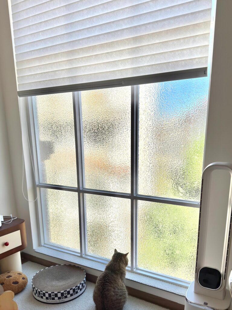 frosted glass windows 3